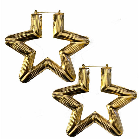 Star Power Bamboo Earrings